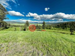 美国蒙大拿州博兹曼市的住宅用地，Ranch 11 North Pass Ranches，编号78162677