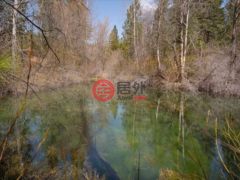 美国加州Gazelle的公寓，None 6409 Kangaroo Creek Rd.，编号77848966