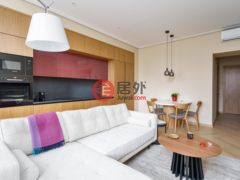 拉脱维亚RigaRīga的公寓，Raina Boulevard 2，编号76427758