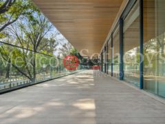 墨西哥Ciudad de MéxicoPolanco的公寓，Ruben Dario 225 101，编号48346330
