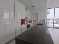 阿联酋迪拜迪拜的公寓，The Residences at District One，编号65641314