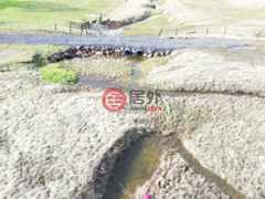 美国加州Bella Vista的住宅用地，None 299 East Drive，编号76740529
