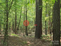 美国南卡罗来纳州希思泉的住宅用地，None 00 Hoke Road，编号78151710
