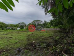 哥斯达黎加Nosara的住宅用地，Playa Pelada Nosara，编号78125108