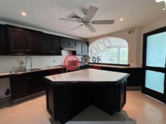 墨西哥金塔纳罗奥穆赫雷斯岛的公寓，101 Carretera Puerto Juarez - Punta Sam，编号76169400