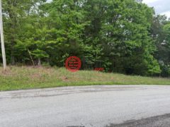 美国肯塔基州鲍灵格林的农业用地，Lot 1 10.93 ac Girkin Road，编号77637161