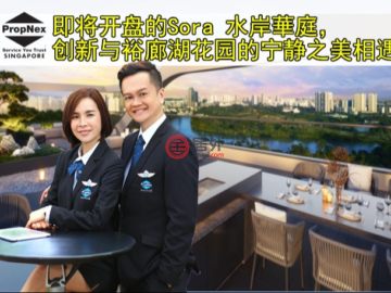 2卧2卫新开发的公寓