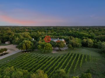 Hill Country Multi-Use Property - Driftwood Vineyard Opportunity