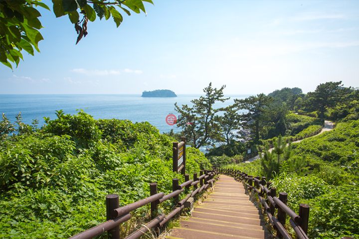 韩国西归浦的公寓