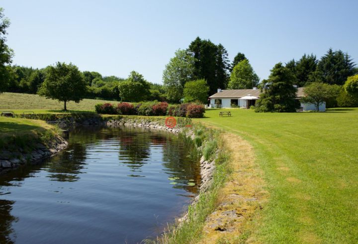 爱尔兰carrick-on-shannon5卧4卫的房产