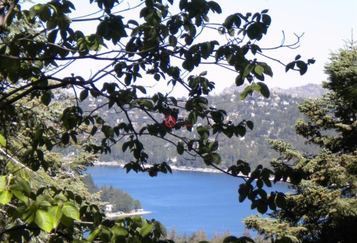 美国加州skyforest的房产