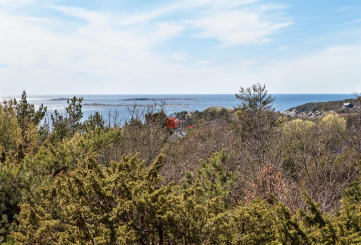 瑞典哈兰省hallands ln的房产,sr backe 12,编号31656814